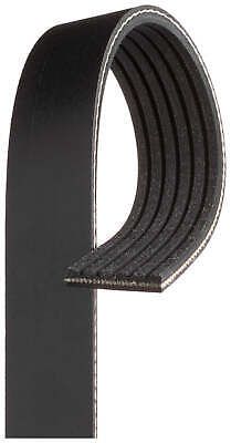 Gates Drive Belt Fan Belt Micro-V Belt for Ford Fiesta WP WQ Focus - 6PK1019SF