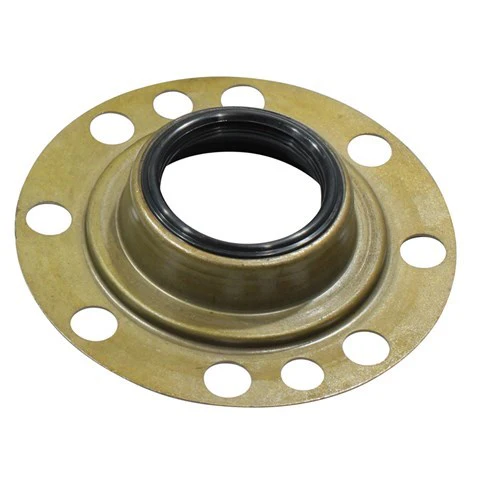 Oil Seal 40x107.5x22.4 Hsb5Yw 10 Hole 403478N Nak9842
